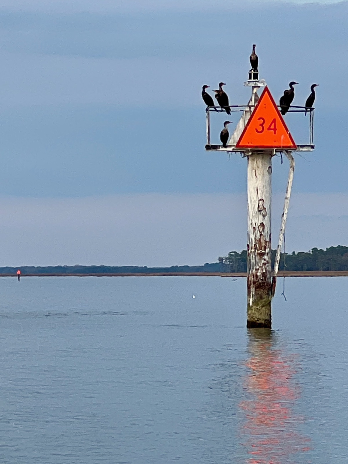 Channel marker 34 with cormorants on the Chesapeake Bay